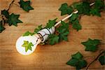 Illuminated lightbulb covered in ivy