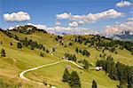 Alpine meadowas in Puez-Geisler Nature Park, Dolomites, South Tyrol, Italy