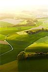 Green fields and trees in backlight, aerial photo