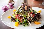 Asian Noodle Salad with Mixed Greens, Cashews and Mandarin Oranges