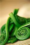 Fresh Fiddleheads; Close Up