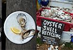 Dual image: fresh oysters on a plate; oyster shells for recycling in a crate