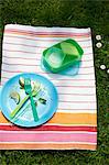 A cleared plate and picnic crockery on a striped cloth