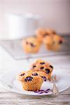 Blueberry muffins on plate and cake rack