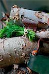 A Bundle of Fresh Dill with a Vintage Herb Chopper on a Pile of Wood