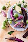 A Variety of Eggplants and Green Tomatoes