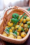 A Basket of Green and Yellow Tomatoes