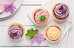 Cupcakes with pastel icing