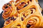 Raisin and cranberry whirls