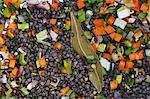 Ingredients for lentil soup