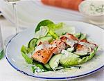 Salmon and cucumber salad with dill yoghurt