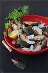 Green mussels with lemon and ice in a red bowl