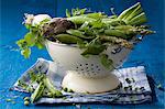 Vegetable still life