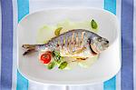 Grilled tilapia with cherry tomatoes and basil