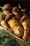 Still life with matsutake mushrooms and pine leaves