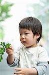 Boy looking at leaves on plant