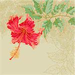 The contour drawing hibiscus flower with leaves on toned beige background. Watercolor style. Can be used as background for invitation cards.