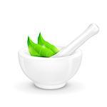 illustration of mortar and pestle with herbal leaf
