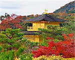 Temple of the Golden Pavilion on Kyoto, Japan. nov 28