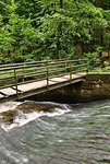 A small bridge over a creek in a green forest