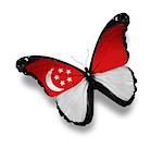 Singaporean flag butterfly, isolated on white
