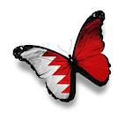 Bahraini flag butterfly, isolated on white