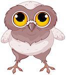 Illustration of a cartoon baby owl.