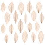 original transparent leaf pattern