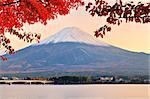 Mt. Fuji with fall colors in japan in the late afternoon.