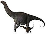 Argentinosaurus was a titanosaur sauropod dinosaur from the Cretaceous epoch in Argentina.