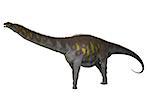 Argentinosaurus was a titanosaur sauropod dinosaur from the Cretaceous epoch in Argentina.