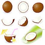 Vector illustration of coconut