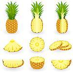 Vector illustration of pineapple