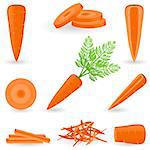 Vector illustration of carrot