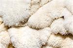 Sheep skins stacked in a pile offered for sale on the market in Zakopane