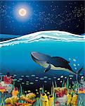 Nature seascape with coral reef with floating whale and night starry sky over surface