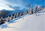 Morning winter mountain landscape with fir trees on slope.