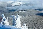 Winter mountain landscape with snowy trees on slope in front