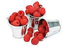 Three Tin Buckets with Ripe Raspberries isolated on white background