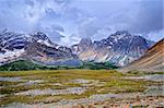 Verdant Pass, Jasper