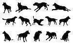 A set of pet dog silhouettes including the dog playing, jumping and walking