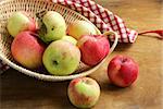 autumn harvest of organic apples in the basket