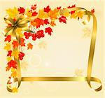 Autumn background with colorful leaves and gold ribbons. Back to school. Vector illustration