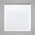 Spiral notebook with squared paper sheets isolated on gray including clipping path