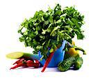 Arrangement of Fresh Parsley in Blue Bucket with Leek, Cucumbers, Yellow Bell Pepper and Chili Peppers isolated on white background