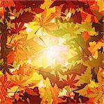 Abstract Autumn Leaf Seamless Background