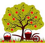 vector apple tree and hand barrow with basket of apples, Adobe Illustrator 8 format