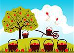 vector baskets of apples and hand barrow in apple orchard, Adobe Illustrator 8 format