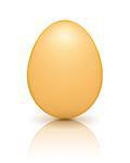 Brown egg with reflection on white background, vector eps10 illustration