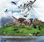 Nature Collage With  Wild Animals And Birds